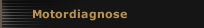 Motordiagnose